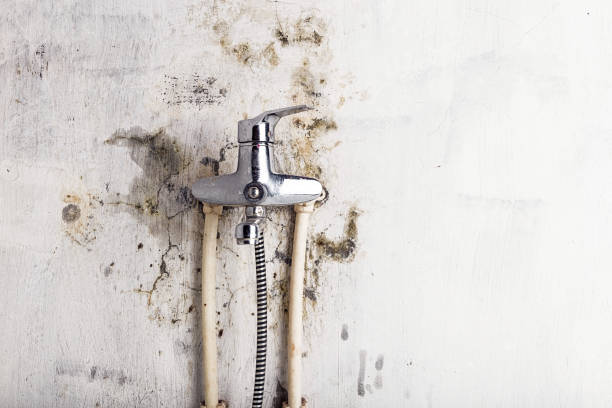 Best Water Damage Restoration  in Brandenburg, KY